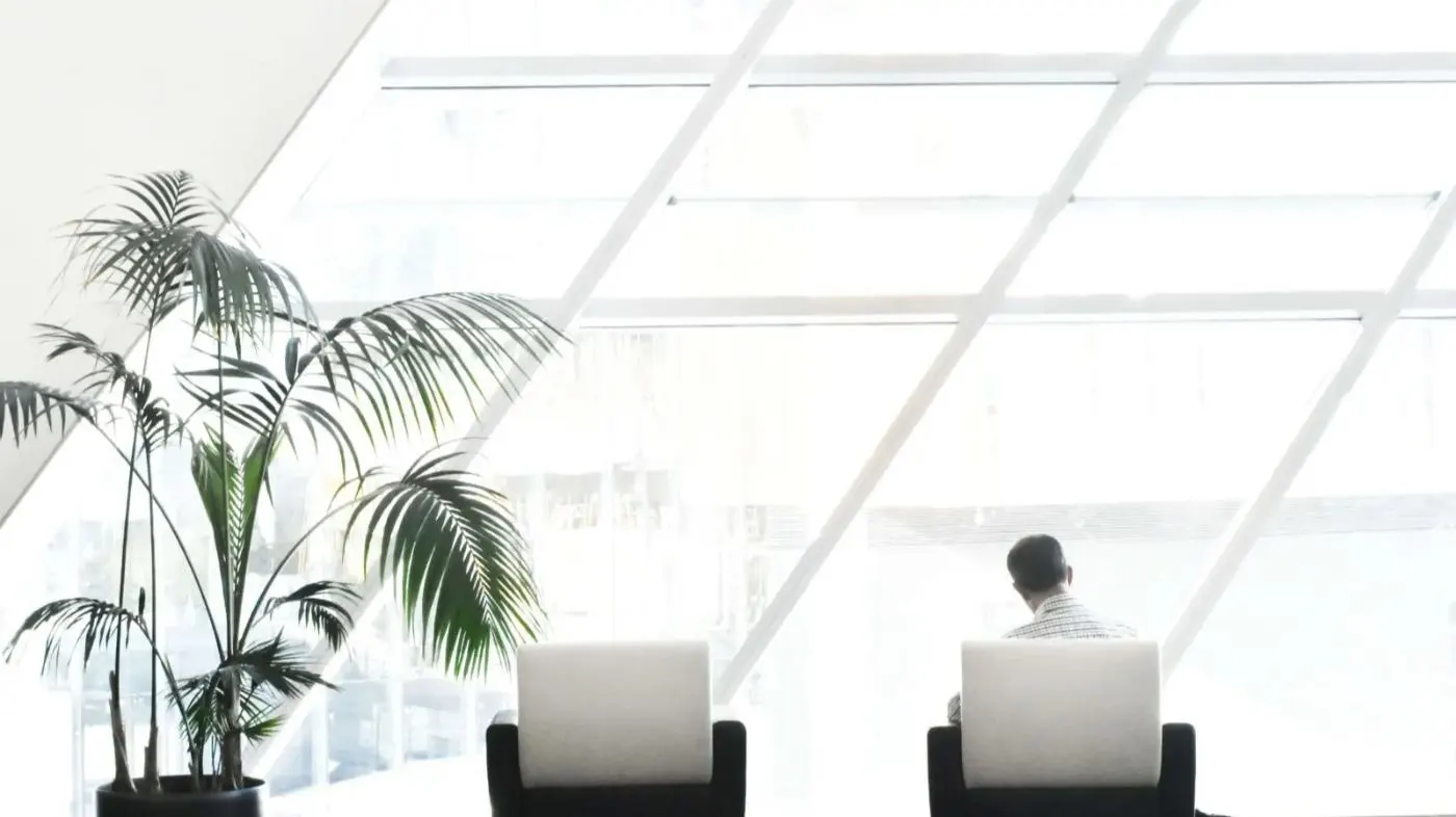 An office with a palm tree, two chairs and a person from the back with a view outside.